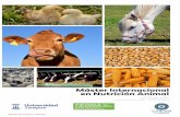 Máster Internacional en Nutrición Animal Animal_ESP.pdf · nacional de Altos Estudios Agronómicos Mediterráneos (CIHEAM), junto con el de Bari en Italia, Montpellier en ... los