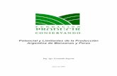 Potencial y Limitantes de la Producción Argentina de ...producirconservando.org.ar/intercambio/docs/prod_pot_mz_ps.pdf · 4 La producción del ejercicio 2001/2002, fue de 1.428 miles