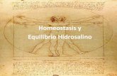 Homeostasis y Equilibrio Hidrosalino · Homeostasis u homeostasia es la tendencia de los organismos vivos y otros sistemas a adaptarse a las nuevas condiciones y a mantener el equilibrio