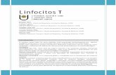 Linfocitos T - Facultad de Medicina · de la cØlula T. PrÆcticamente cualquier clase de molØcula biológica (metabolitos intermediarios, azœcares, lípidos, autacoides y hormonas,