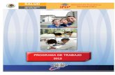 PROGRAMA DE TRABAJO 2012 - pediatria.gob.mx · PROGRAMACIÓN DE ACTIVIDADES ESTRATÉGICAS Y SUSTANTIVAS. MATRIZ ... efectuar investigaciones clínicas y básicas en las distintas