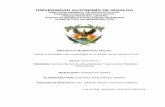 UNIVERSIDAD AUTONOMA DE SINALOA - …ssocial.uas.edu.mx/alumnos/documentos/0106636-6_P.pdf · con un documento oficial de sus inmuebles, ya sea vivienda o tierras de usos diversos.