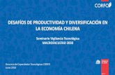 DESAFÍOS DE PRODUCTIVIDAD Y …vtc2018.macrofacultad.cl/presentaciones/Marcela_Angulo.pdf · Fuente: Estudio de Productividad, Corfo Pero, cae la productividad en sectores de recursos