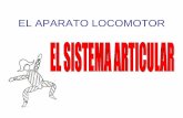 EL APARATO LOCOMOTOR - edu.xunta.gal · parte externa de la cápsula y unen los 2 huesos de la articulación, permitiéndoles realizar los