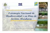 Estrategia Nacional de Biodiversidad y su Plan de Acci ón, Honduras · 2008-04-30 · Estrategia Nacional de Biodiversidad y su Plan de Acci ón, Honduras 26-27 de marzo, 2008, Ciudad