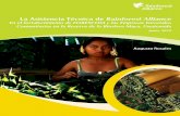 La Asistencia Técnica de Rainforest Alliance · Reserva de la Biósfera Maya ... Componente Económico ... y contribuyen a mejorar la calidad de vida de la población local, ...