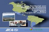 Desarrollo Territorial con Enfoque de Sistemas ...repositorio.iica.int/bitstream/11324/2636/1/BVE17038715e.pdf · territorio: la Comarca Andina del Paralelo 42, en la Patagonia Argentina;