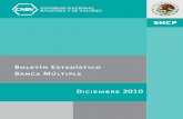 Boletín Estadístico Banca Múltiple Diciembre 2010portafolioinfo.cnbv.gob.mx/PortafolioInformacion/BE_BM_201012.pdf · 3 El siguiente contenido fue elaborado por personal de la