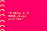 C.P MARIA LLUCH TORRECILLAS DE LA TIESAextremambiente.juntaex.es/pdf/MLluch.pdf · proyecto ecocentro nuestras actividades desde hace dos aÑos proyecto ecocentro ... la informaciÓn