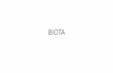 BIOTA · •Estudia los mecanismos de los efectos tóxicos que producen los xenobióticos (compuestos sintetizados en laboratorio) que dañan el organismo.