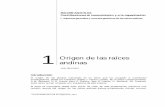 ORIGEN DE LAS RAICES ANDINAS - Home - …cipotato.org/.../2014/06/01_Origen_raices_andinas.pdf · 2017-05-04 · (1961) sostiene la hipótesis que, en general, los parientes silvestres