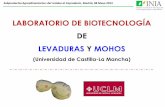 Presentación de PowerPoint - INIA HomePage · LEVADURAS Y MOHOS (Universidad de Castilla-La Mancha) ... Inmovilización de levaduras vinicas sobre esponja vegetal para la producción