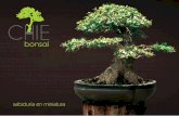 Para los amantes del arte bonsái - CHIE bonsai - … Chie Bon… · CHIE bonsai Tiene como principal función la de producir árboles en miniatura con los más ... la mayor diciplina