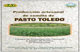 Producción artesanal de semilla dede semilla de …€¦ · Procedimiento a seguir en la producción artesanal de semilla de pasto Toledo 5 ... dándole como ventaja un período