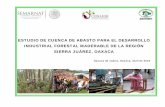 ESTUDIO DE CUENCA DE ABASTO PARA EL … Norte de... · estudio de cuenca de abasto para el desarrollo industrial forestal maderable de la regiÓn sierra juÁrez, oaxaca . oaxaca de