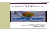 INICIOS DE CANAL SUR TELEVISIÓN - fama2.us.esfama2.us.es/fco/tmaster/tmaster04.pdf · Periodista, trabajadora en los medios audiovisuales desde hace once años y, ahora, ... industrias