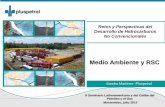 Medio Ambiente y RSC - olade.org · •Uno de los mayores productores de petróleo y de gas de Argentina (42 Mbbl/d and 368 MMcf/d respectivamente*). •El mayor productor de petróleo