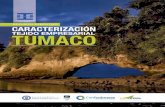 CAMARA DE COMERCIO DE TUMACO RESUMEN …tejidoempresarial.net/images/documents/Resumen_Ejecutivo_Tumaco.… · con otros tejidos de la región y el mundo, se promueva el ... Germán