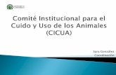 --Comité Institucional para el Cuido y Uso de los Animales ... · cuando el experimento u otro proyecto ... Ill. MONITOREO DEL CUIDADO Y USO DE LOS ANIMALES ... VI. AMBIENTE ANIMAL,