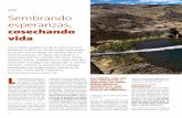 perú smbrando e esperanzas, cosechando vida - …cepes.org.pe/pdf/revista-oxfam-articulocepes.pdf · Las familias campesinas de la sierra peruana producen el 60% de los alimentos
