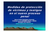Medidas de protección de víctimas y testigos en l el … · maparo@t t@amauta.rcp.net.pe. ... 13.02.2010) • Destinatarios – Testigos, ... • Generalidades – Concedidas de