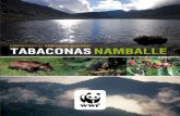 Conociendo el santuario nacional Tabaconas …d2ouvy59p0dg6k.cloudfront.net/downloads/librosntn.pdf7 Conociendo el santuario nacional Tabaconas Namballe El trabajo de WWF en los Andes