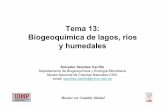 Tema 13: Biogeoquímica de lagos, ríos y humedales · Tema 13: Biogeoquímica de lagos, ríos y humedales Master en Cambio Global Salvador Sánchez Carrillo Departamento de Biogeoquímica