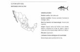 Fuente: Subdelegación de Pesca de Baja California (2 000 ... · ESTADISTICA DE PRODUCCION ... Fuente: Subdelegación de Pesca de Baja ... una biotecnología completa para no depender