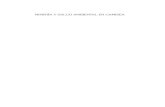 MINERÍA Y SALUD AMBIENTAL EN CAMISEA - BVS …bvs.minsa.gob.pe/local/GOB/953_CIES1.pdf · análisis independiente y la generación de conocimiento útil alrededor del derecho a ...