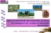 Aprovechamiento de especies de flora en categoría de ...biblioteca.semarnat.gob.mx/janium/recursos/226891/campeche/10... · el aprovechamiento de especies maderables y no maderables