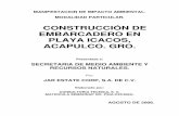 'CONSTRUCCIÓN DE EMBARCADERO EN PLAYA …sinat.semarnat.gob.mx/dgiraDocs/documentos/gro/estudios/... · 2014-02-13 · incrementar la eficiencia y seguridad de su infraestructura