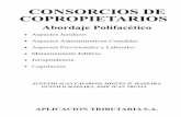 CONSORCIOS DE COPROPIETARIOS - …datos.aplicacion.com.ar/previews/2007/9789871099948_MAZZARA_Ad… · 1.2.Recibo de haberes 1.3.Tiquet de pago de contribuciones y aportes a la Administración