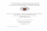 UNIVERSIDAD COMPLUTENSE DE MADRID - …eprints.ucm.es/16635/1/T33994.pdf · psychrophila, para su aplicación en la síntesis industrial de nucleósidos de interés terapéutico utilizando