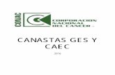 CANASTAS GES Y CAEC - conac.clconac.cl/pdf/canastas_GES_CAEC.pdf · CAEC Cáncer Testicular ... Medicamentos según normas Minsal resolución exenta 727 del 14/11/2005 ... O CA A