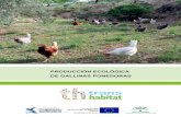 PRODUCCIÓN ECOLÓGICA DE GALLINAS … · Mediterránea de la Biosfera de interés común para Andalucía y Marruecos, estableciendo estrategias de gestión y conservación comunes