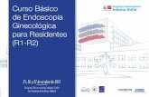 Introducción y objetivos de Endoscopia Ginecológicacongresos.grupoaran.com/contenidos/381/adjuntos/7817hgjj.pdf · Curso Básico de Endoscopia Ginecológica para Residentes (R1-R2)