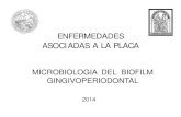 ENFERMEDADES ASOCIADAS A LA PLACA - Facultad de … · ASOCIADAS A LA PLACA . MICROBIOLOGIA DEL BIOFILM GINGIVOPERIODONTAL . 2014 . Enfermedades Gingivoperiodontales . ... Microbiota