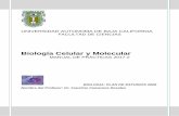 Biología Celular y Molecular - peces.ens.uabc.mxpeces.ens.uabc.mx/bcym/practica/2017-2-manual BCYM.pdf · área de biología celular y molecular, considerando que el conocimiento
