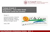 Trabajo Grupal 4: Diagnóstico Caso Valle Verde …planificat20.weebly.com/uploads/5/0/7/6/5076073/t4_diagnstico_g2... · Invasiones del Sistema de Lomas de Lúcumo Negativo Alta