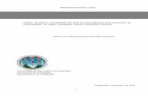 Maximiliano Ramírez Sales Módulo: Beneficios y …biblioteca.usac.edu.gt/EPS/07/07_1866.pdf · 1.7 Cuadro de análisis y priorización de problemas ... con eficacia la confianza