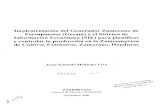 Implementación del Generador Zamorano de … · SISTEMA DE INFORMACION ECONOMICA ... Generador de Presupuestos Agrícolas Zamorano (GEZAM) ... Resumen de ingresos, ...