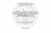 La ilustración del Grand Chamaco, las características ...biblio3.url.edu.gt/Tesis/2012/03/05/Villagran-Maria.pdf · características gráficas y la utilización de los signos en
