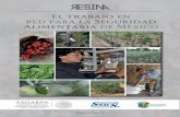 Reservorios del potencial genético de nuestros cultivos 21 · Red Maíz: Resultados Preliminares Ejercicio Fiscal 2012-2013 ... procesos agroindustriales que den valor agregado a