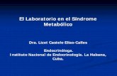 El Laboratorio en el Síndrome Metabólico - sld.cu · Síndrome Metabólico Complejidad de los Estudios de laboratorio Intolerancia a la glucosa Lípidos Insulinorresistencia