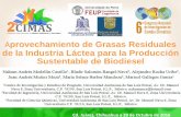 Aprovechamiento de Grasas Residuales de la Industria ...sites.colech.edu.mx/cimas2016/ponencias/octubre-20/mesa-6/1-EAM1… · Juárez, Chihuahua a 20 de Octubre de 2016. Contenido