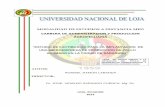 CARRERA DE ADMINISTRACION Y PRODUCCION …dspace.unl.edu.ec/jspui/bitstream/123456789/7223/1/Ronmel Ramón... · modalidad de estudios a distancia med carrera de administracion y