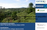 Adaptación Basada en Ecosistemas para pequeños … · Adaptación Basada en Ecosistemas para pequeños productores en Centroamérica (CASCADA) Investigadores principales: Celia