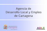 Agencia de Desarrollo Local y Empleo de Cartagena · Servicios. 3. Departamento de Orientación y Empleo. 4. Departamento de Formación. 5. Departamento de Empresa. 6. ... Los becarios