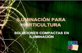 ILUMINACIÓN PARA HORTICULTURA - eltacnet.com · introducciÓn invernaderos tecnificados utilizan iluminaciÓn artificial para maximizar la. producciÓn de sus cultivos.