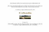 Cebada - Cofupro | · Cadena Productiva de Cebada Plan Estratégico de Necesidades de Investigación y Transferencia de Tecnología II ÍNDICE DE CUADROS Y FIGURAS Cuadro 1.